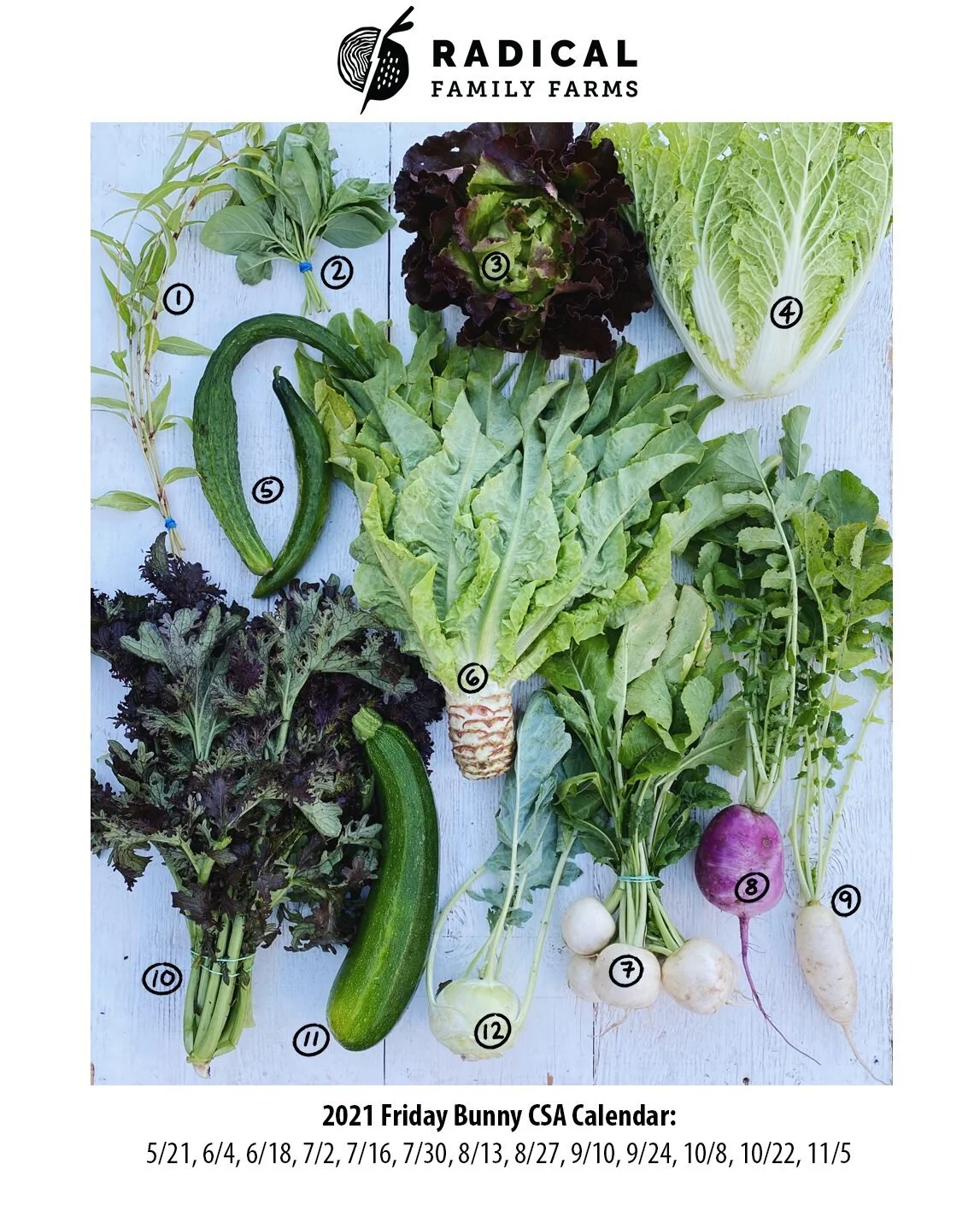 6/4/21 Bunnies CSA - Sonoma County