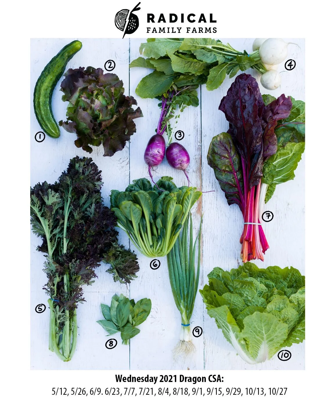 6/9/21 Dragons CSA - East Bay