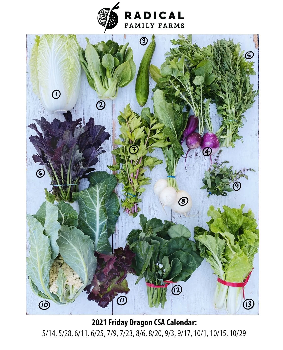 6/11/21 Dragons CSA  - Sonoma County