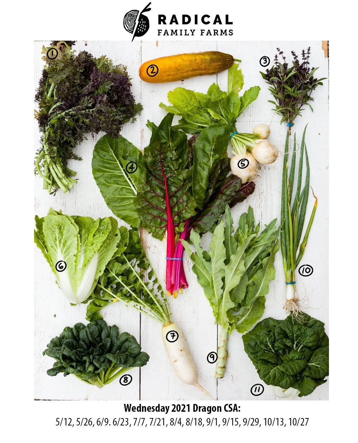 6/23/21 Dragons CSA - East Bay