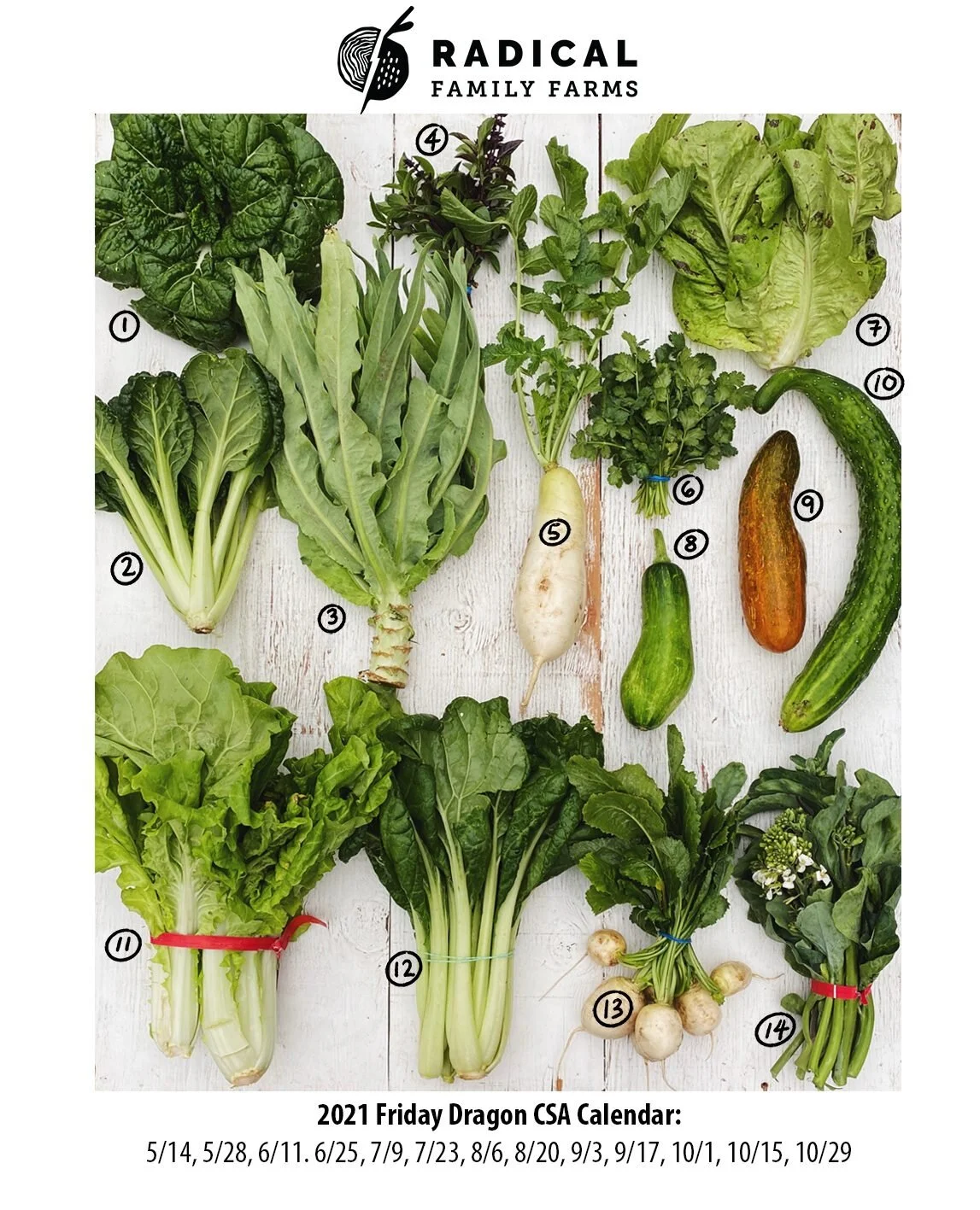 6/25/21 Dragons CSA - Sonoma County