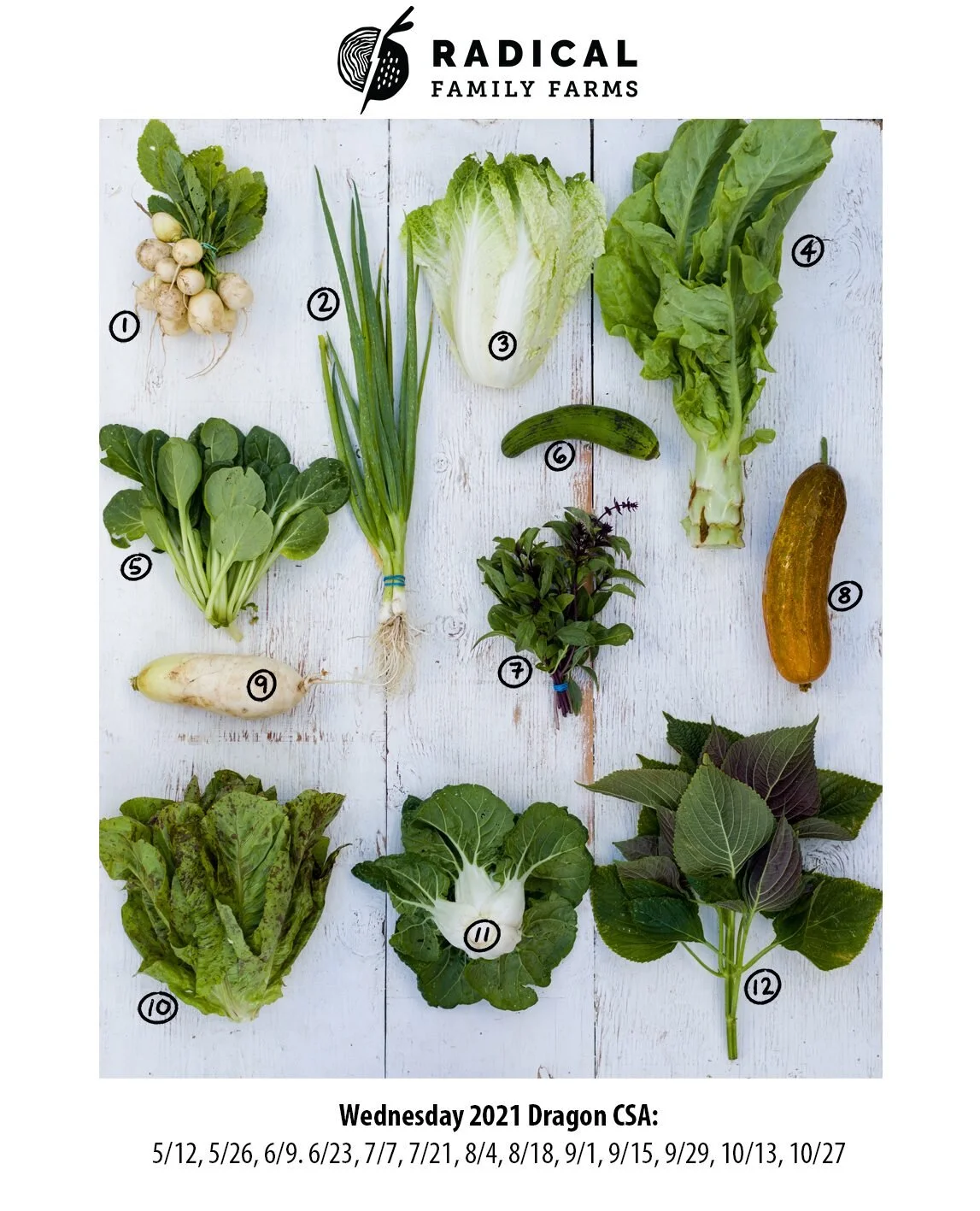 6/30/21 Bunnies CSA - San Francisco &amp; South Bay