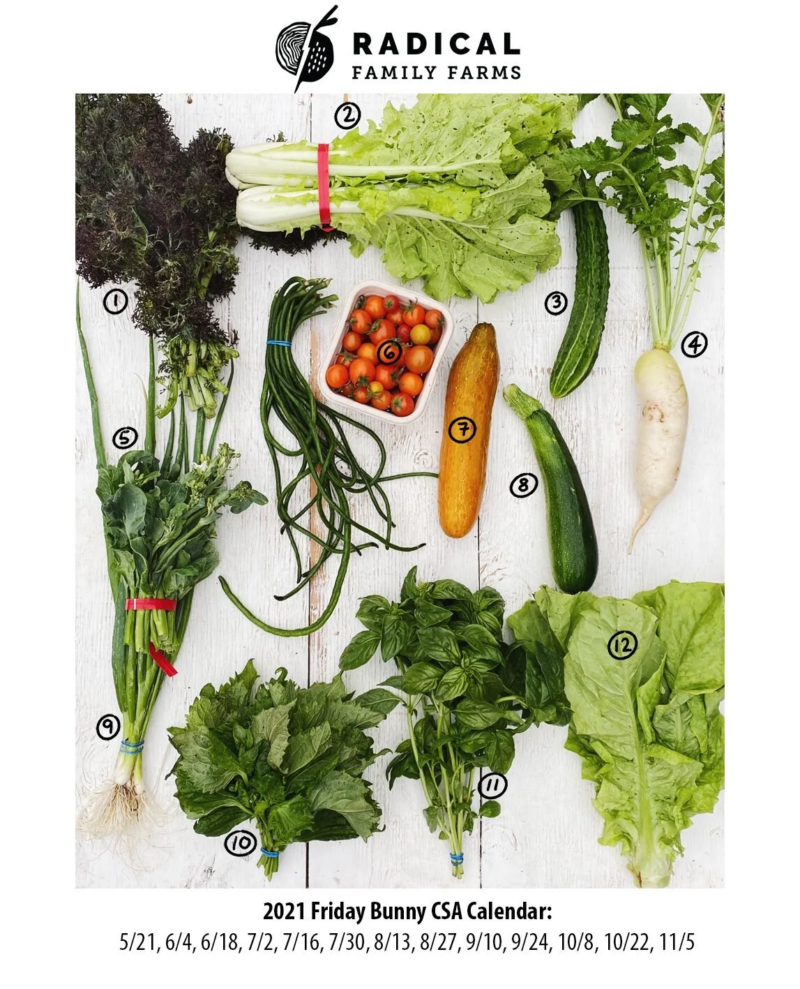 7/2/21 Bunnies CSA - Sonoma County