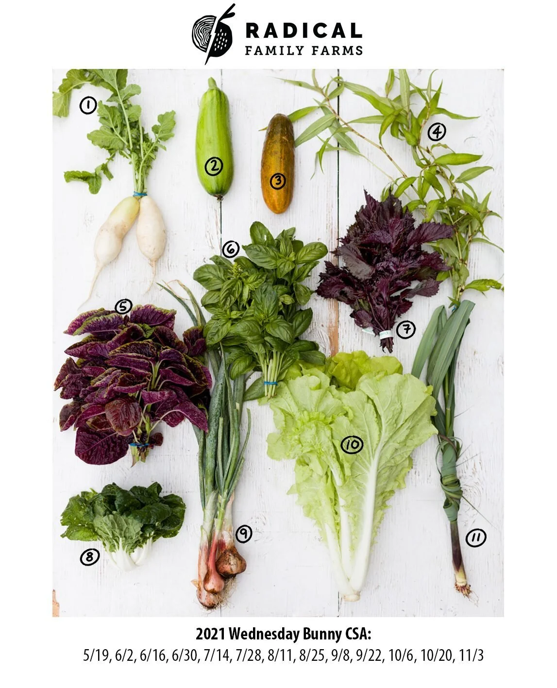 7/14/21 Bunnies CSA - San Francisco &amp; South Bay