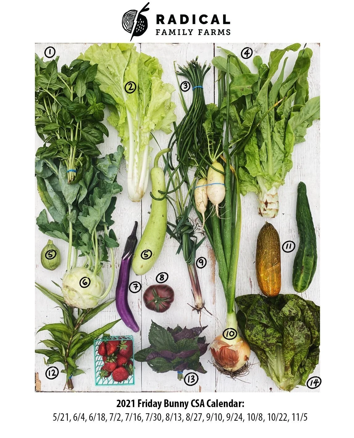 7/16/21 Bunnies CSA - Sonoma County