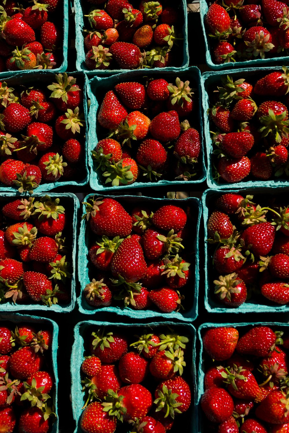 Strawberry/草莓/cǎo méi/딸기 (ttalgi)