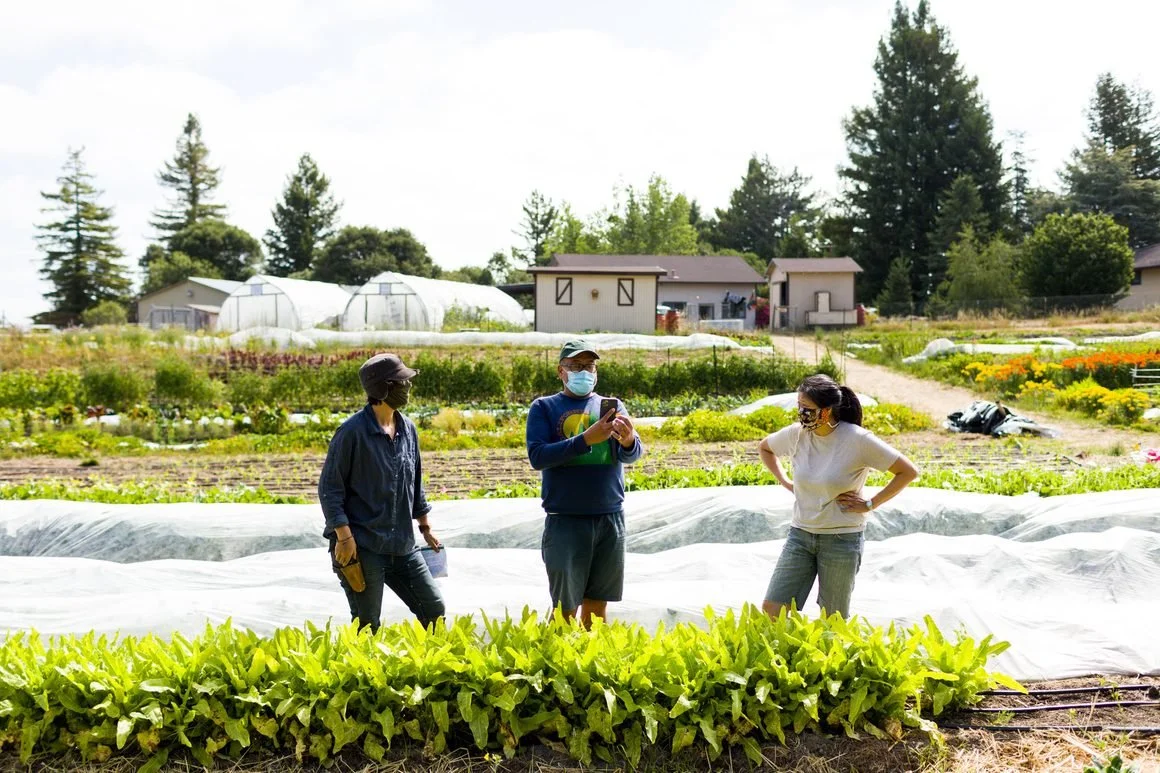 Cooking Video: Celebrating Winter Squash with Linda Esposito and Henry Hsu