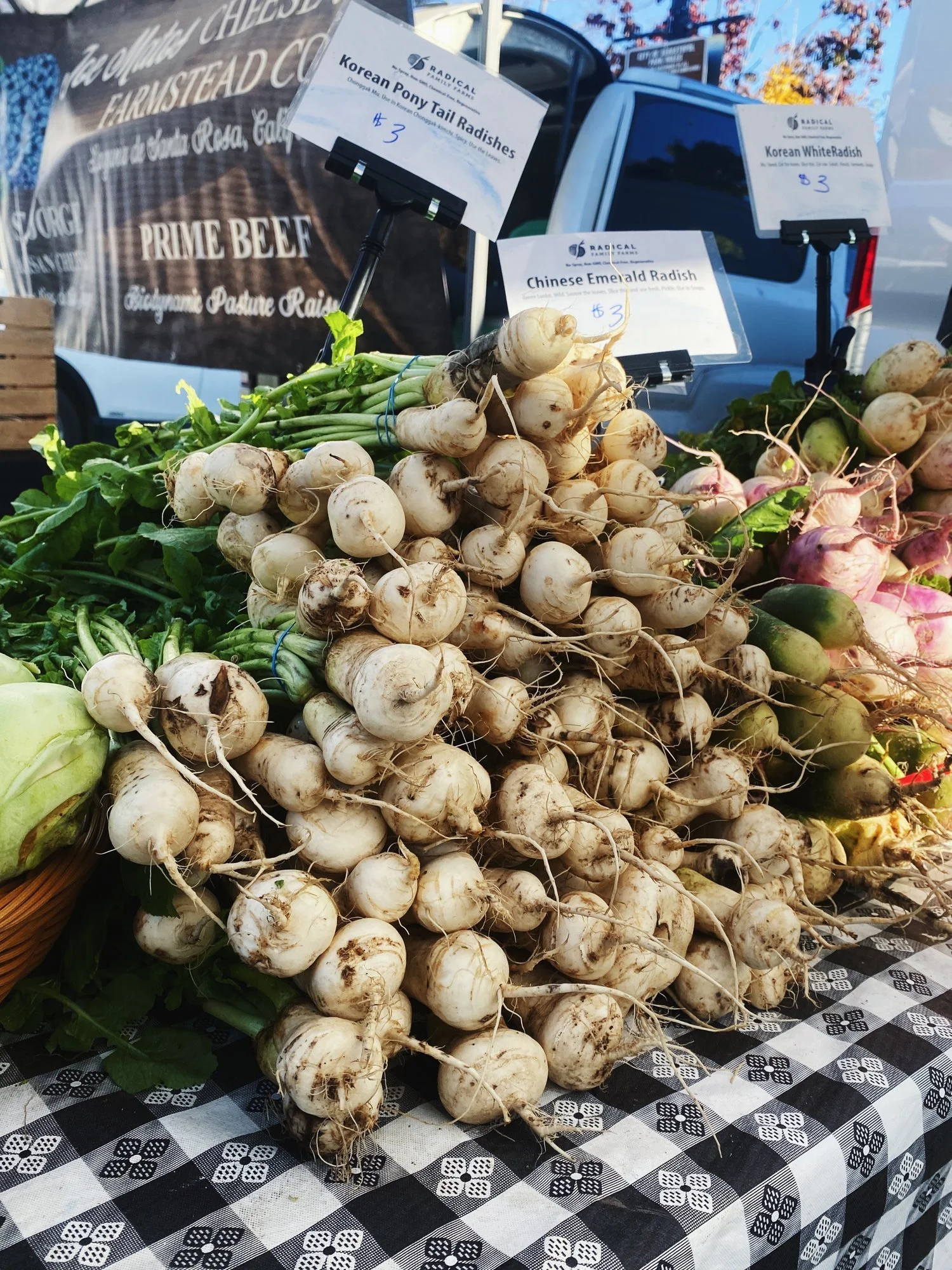 Reflections on 총각무/ponytail radish