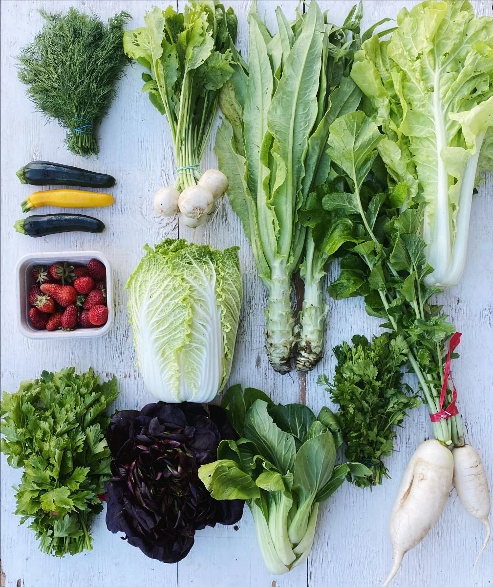 05/20/2022 SONOMA COUNTY DRAGONS CSA BOX