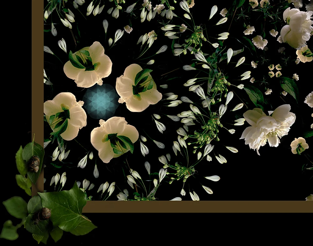 1detail2.jpg
