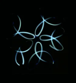 Experiments in light