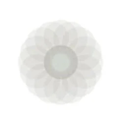 The Flower of Life