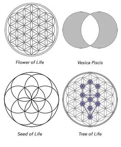 Variations of the Flower of Life all contained therein.