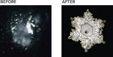 Tap water crystals before and after the water was added for only 3 minutes to the Cadus Water Pitcher.