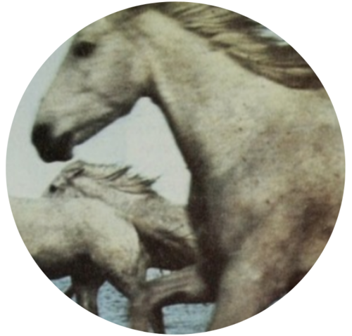 Bildschirmfoto 2019-09-13 um 17.58.34.png