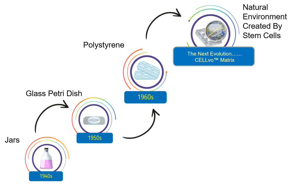CELLvo™ Matrix Technology — StemBioSys®