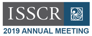 isscr2019lockup.png