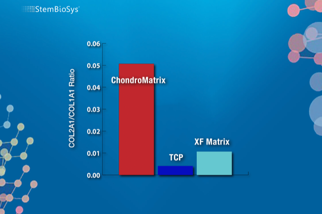 ChondroMatrix Data Table.png