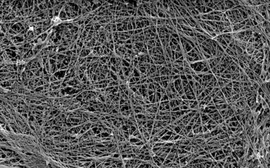 CELLvo™ Matrix Plus: Shaping the Future of In Vitro Cardiomyocyte Culture