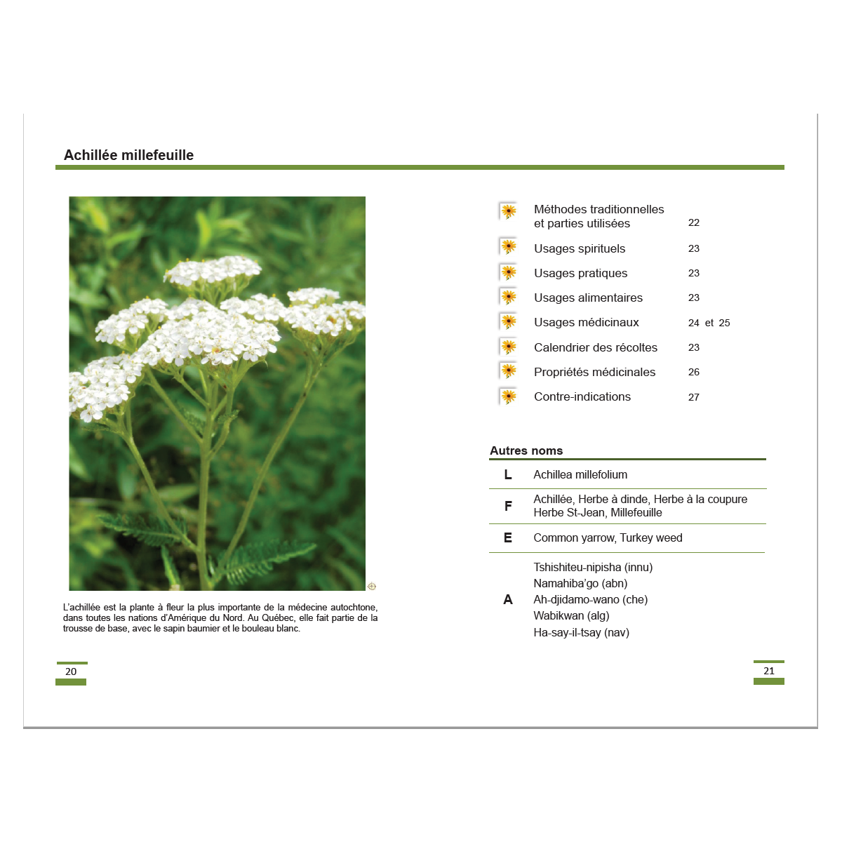 Les_fleurs_page03.png