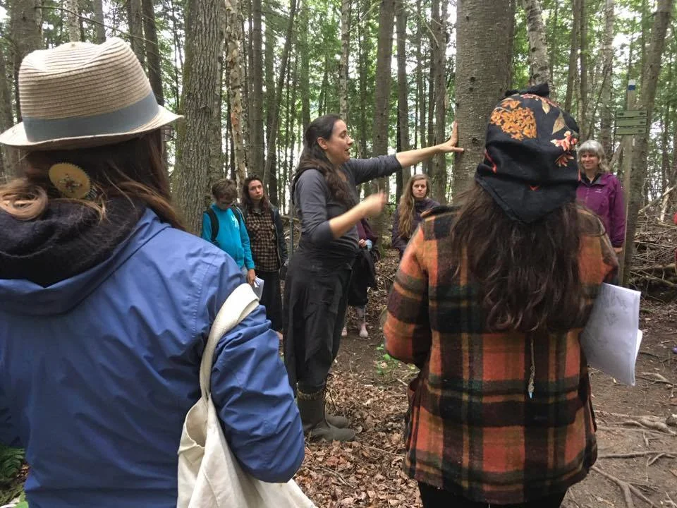 La_Metisse_en_foret_avec_un_groupe.jpg
