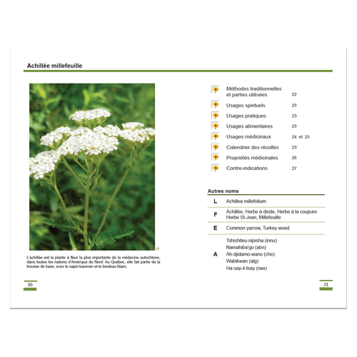 Les_fleurs_page03 (1).webp