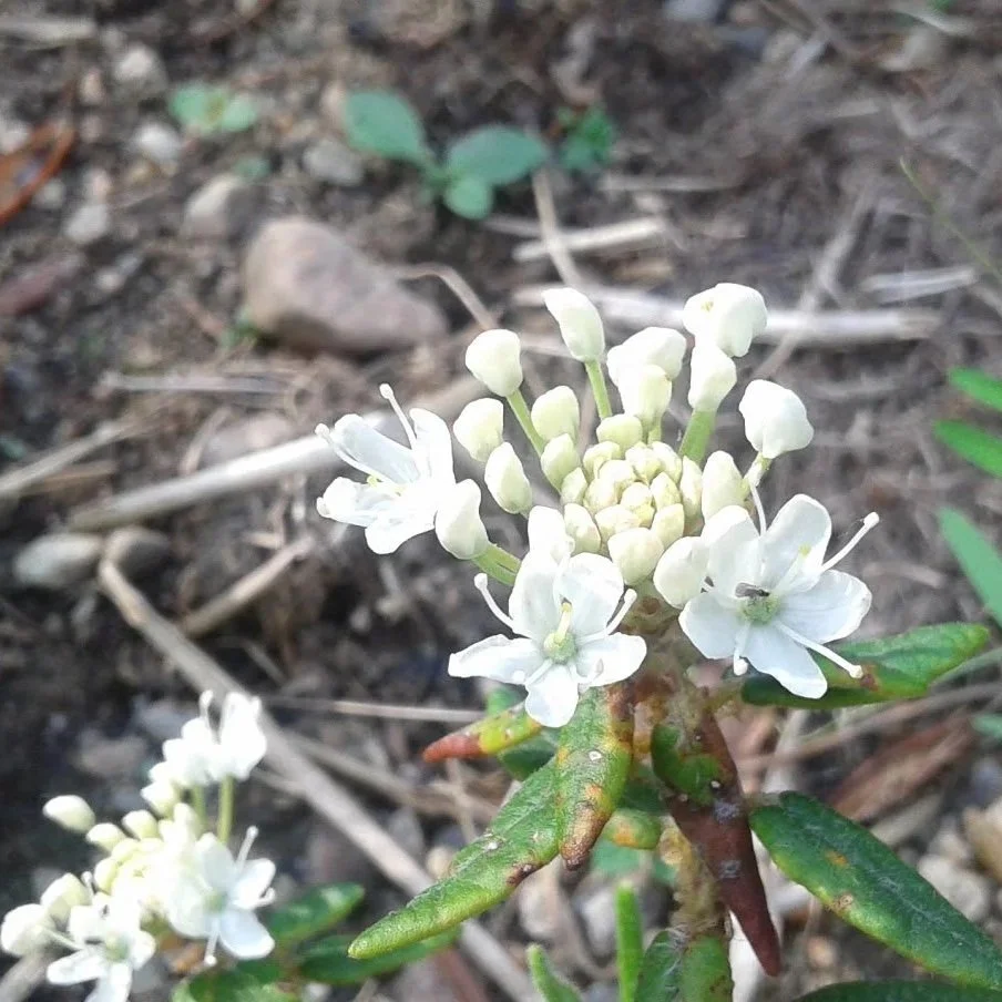 20150527_172035.jpg