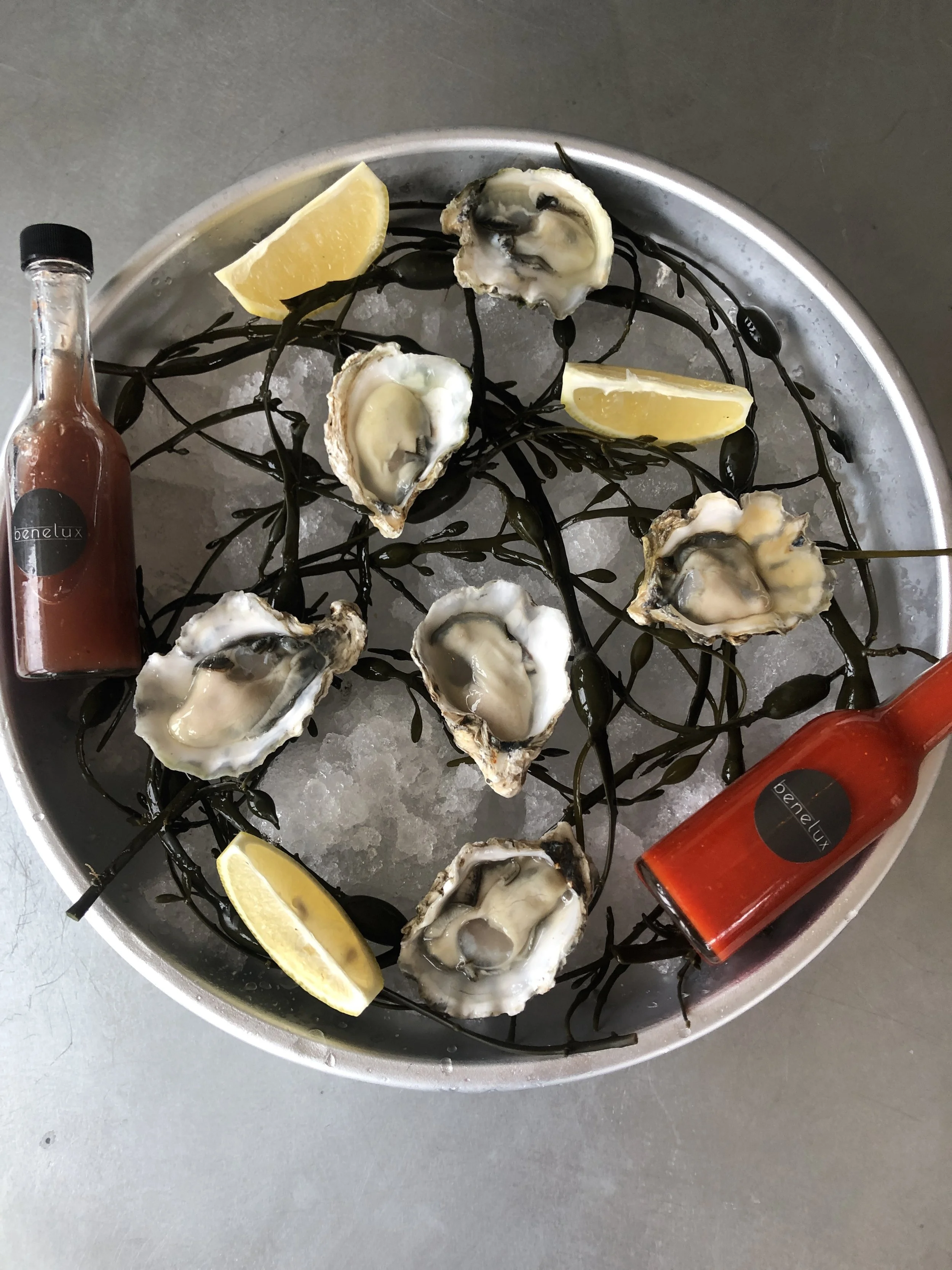 oysters 1.jpg
