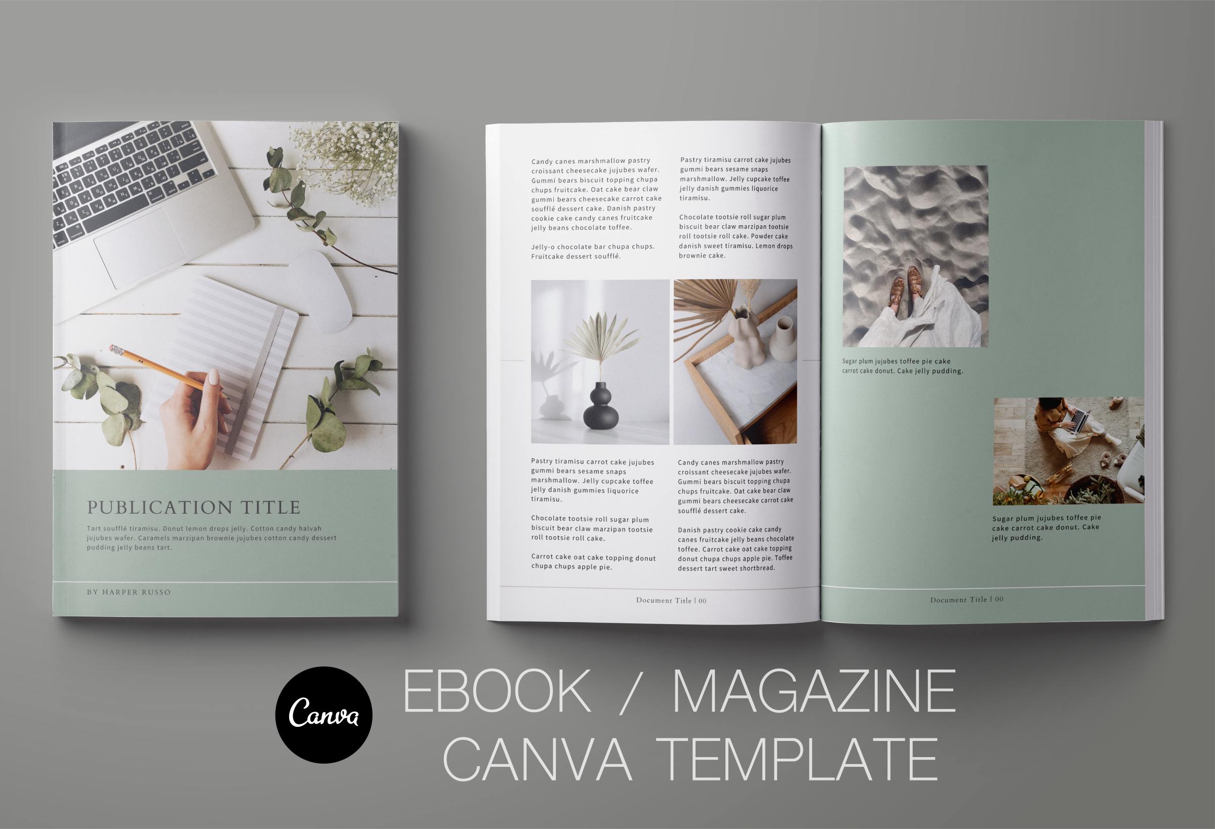 ebooks & workbooks canvas template