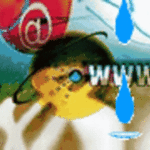 your-webcashaccount-media-20140216.gif