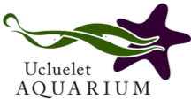 Ucluelt Aquarium logo.png