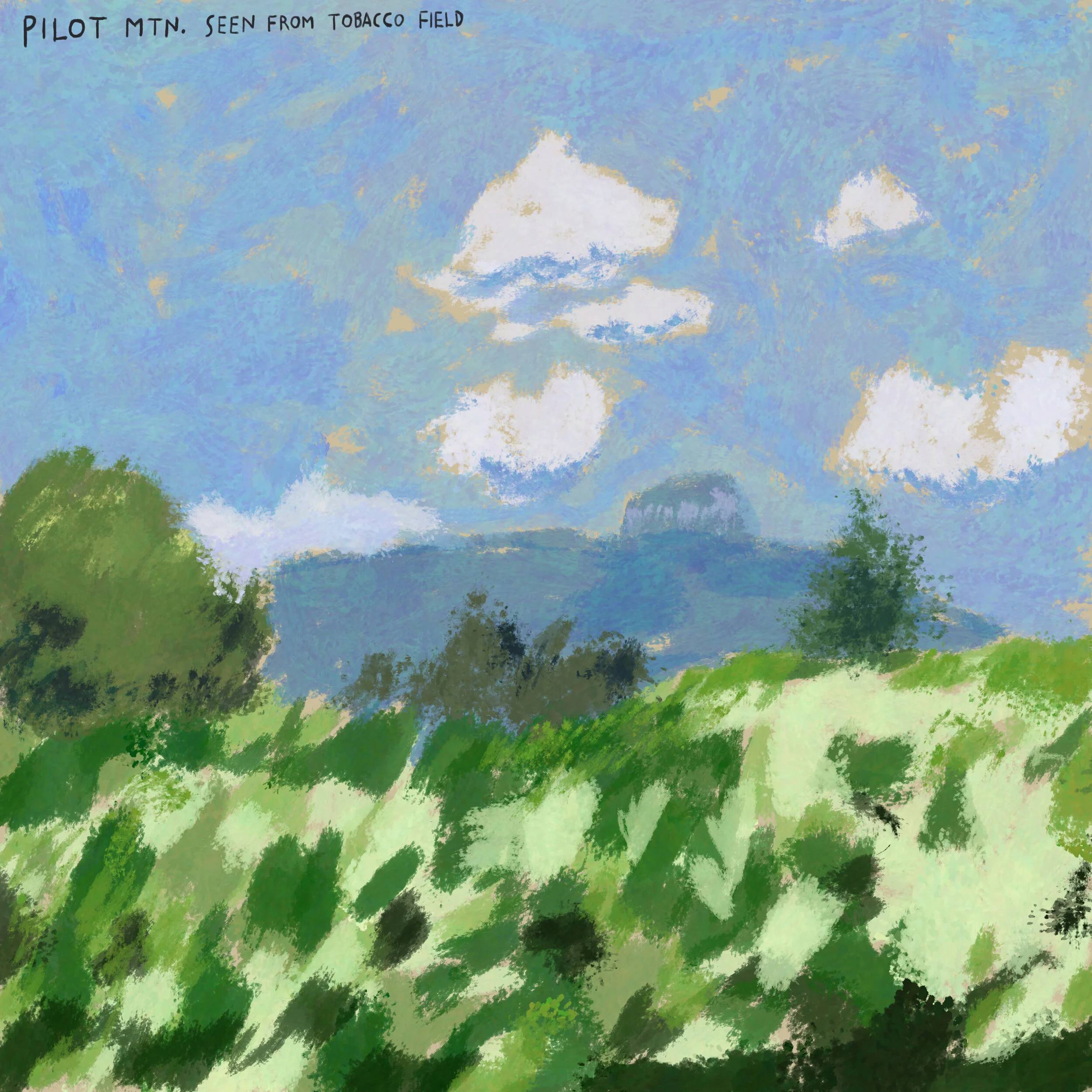 Pilot mountain tobacco.jpg