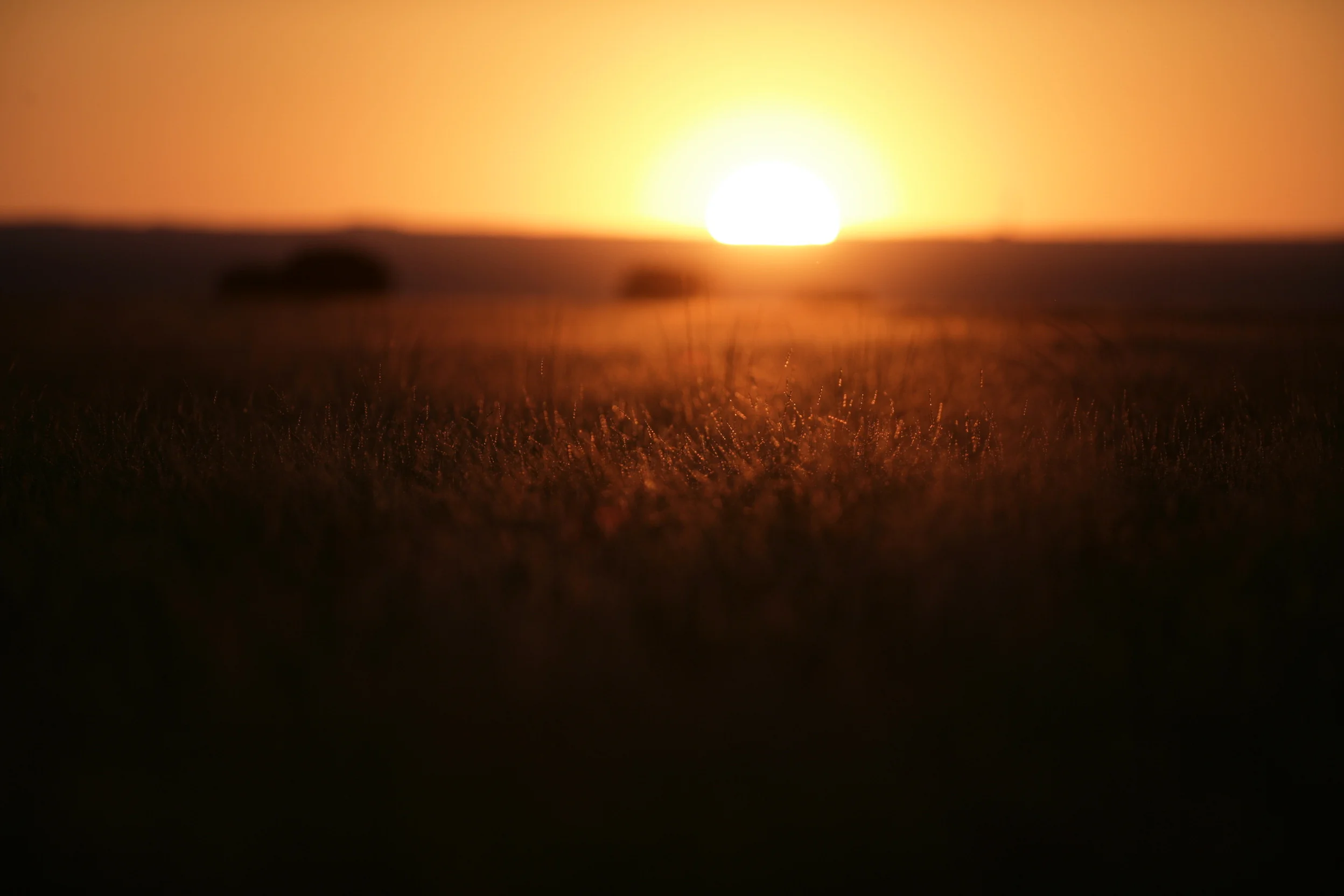 S9Y7616.jpg