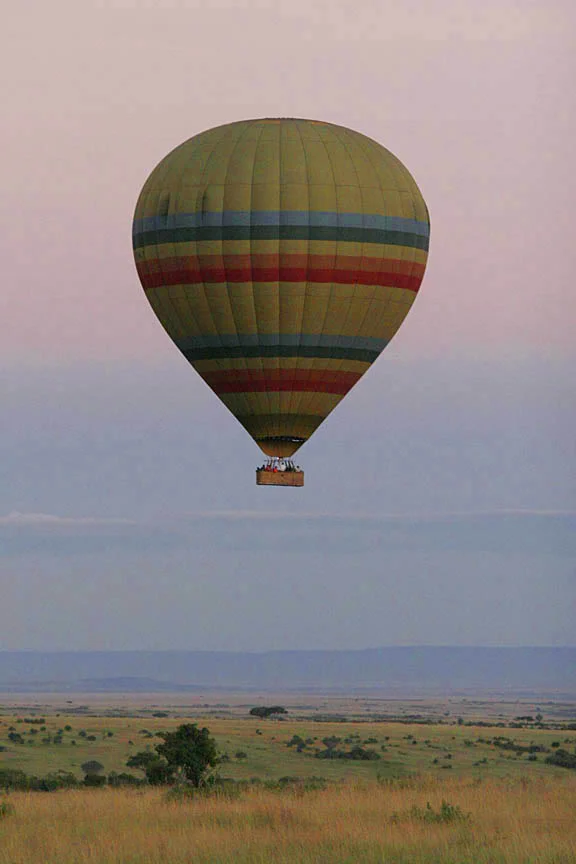_MG_7794.jpg