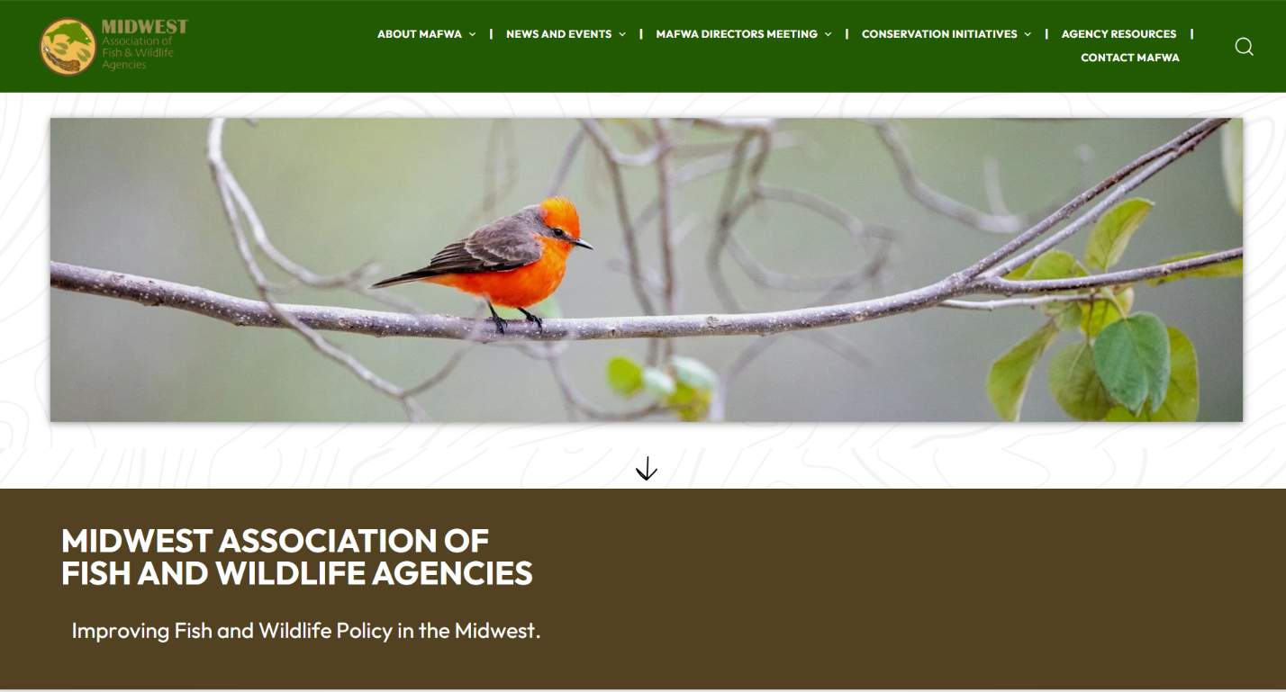 screenshot of the mafwa.org website with link to website