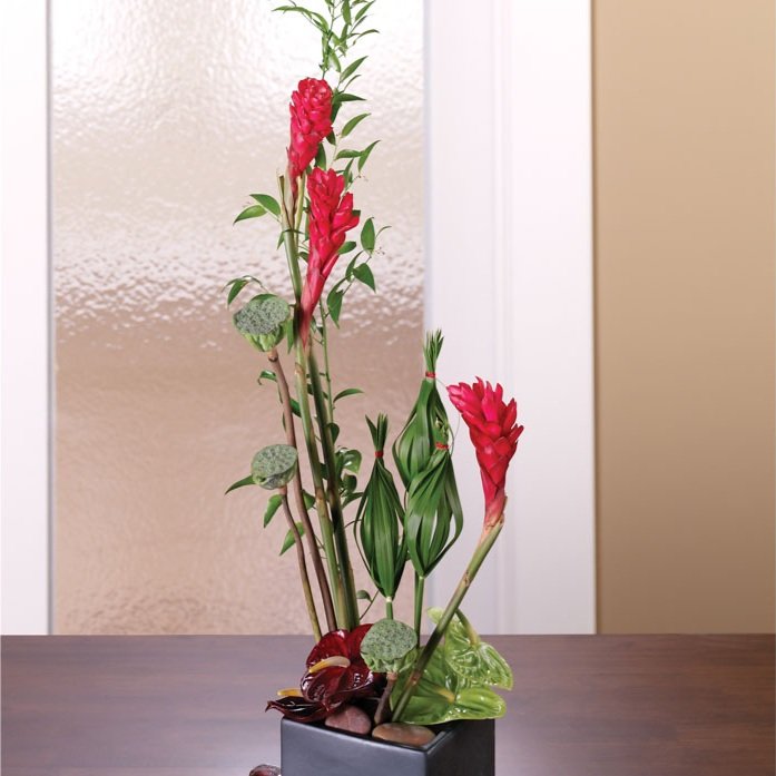 Plant  Arrangement 8