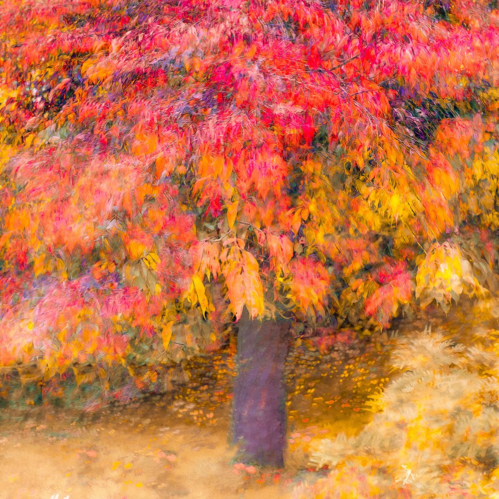 JB 05_Autumn_Fire.jpg