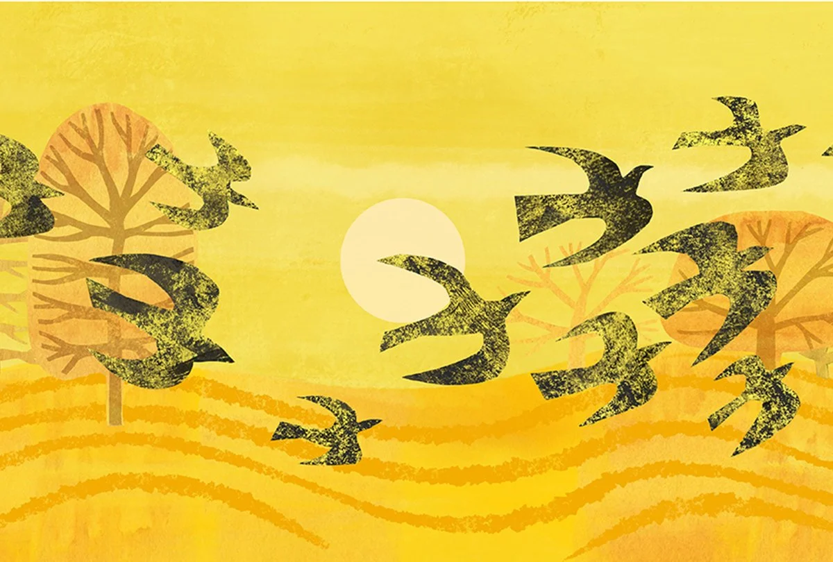 Golden Field-web.jpg