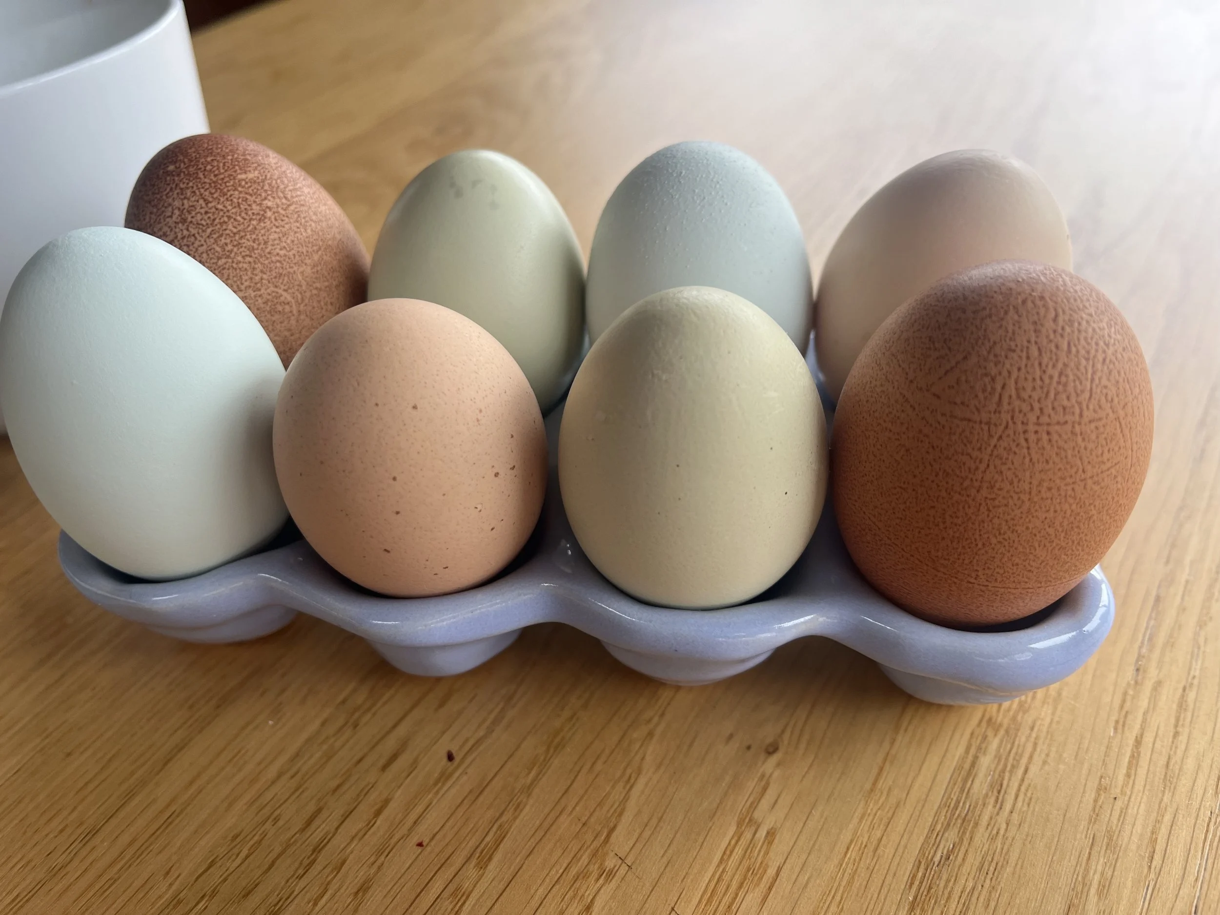 gigi pottery egg holder.jpg