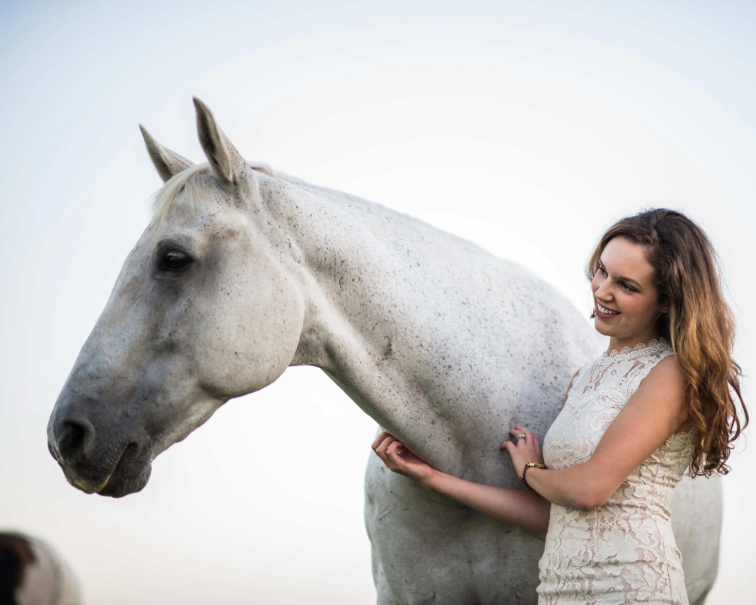 horse headshot