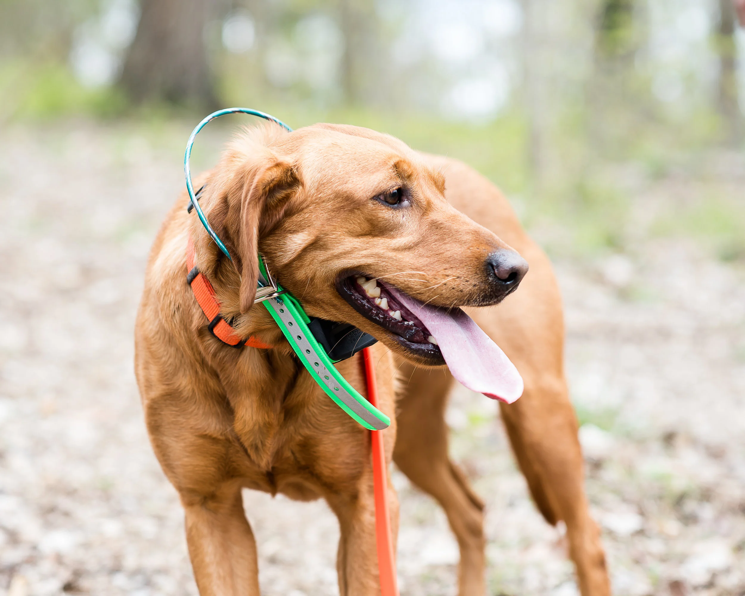 Search and Rescue (11 of 150).jpg