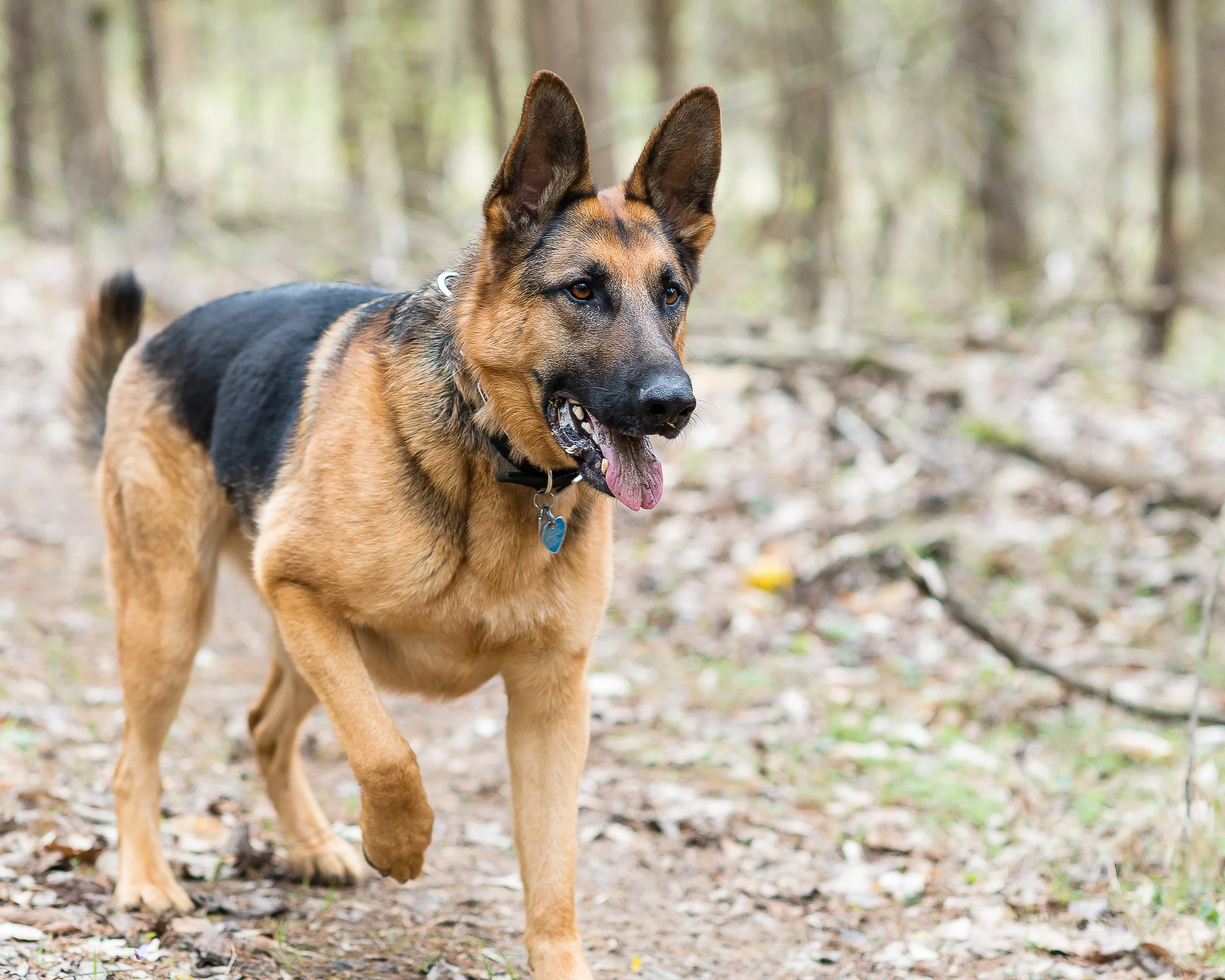 Search and Rescue (29 of 150).jpg