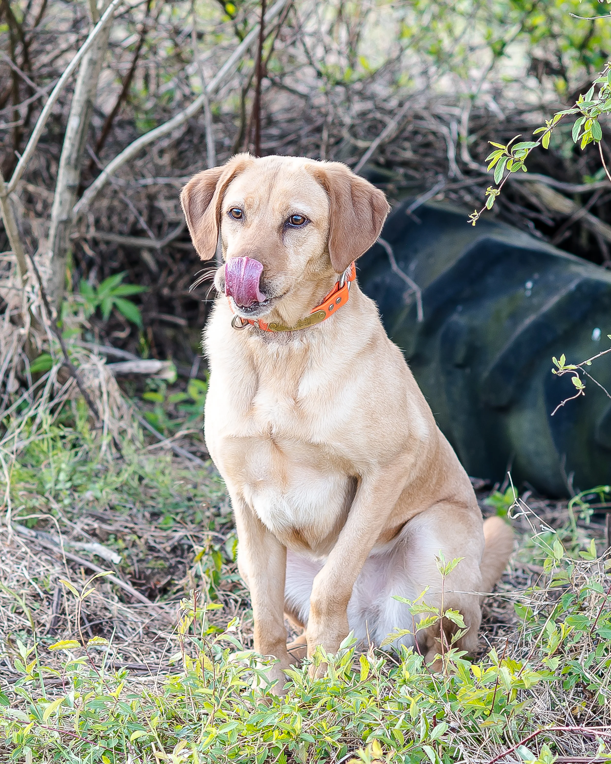 Search and Rescue (82 of 150).jpg