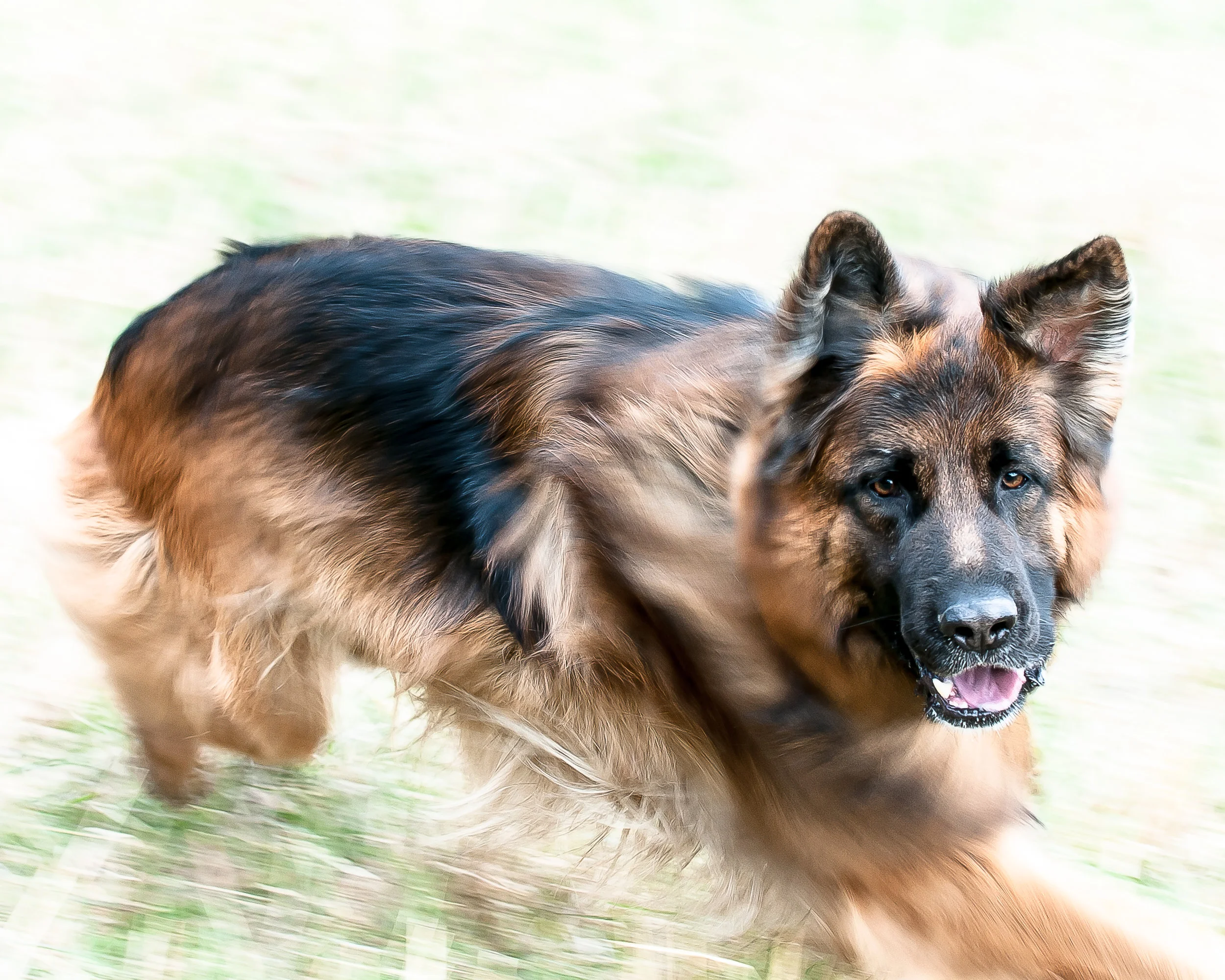 Search and Rescue (108 of 150).jpg