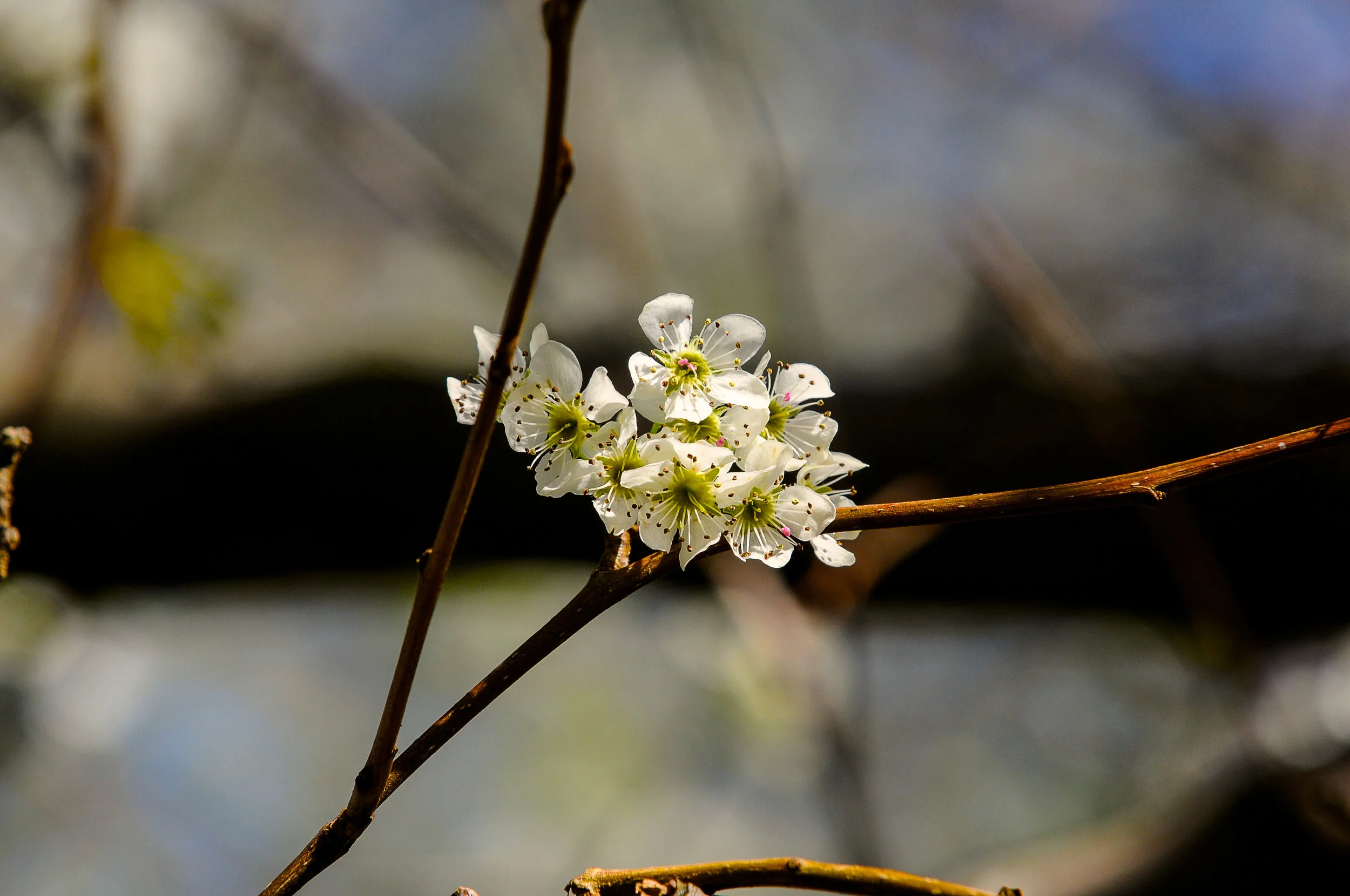 DSC_0719.jpg