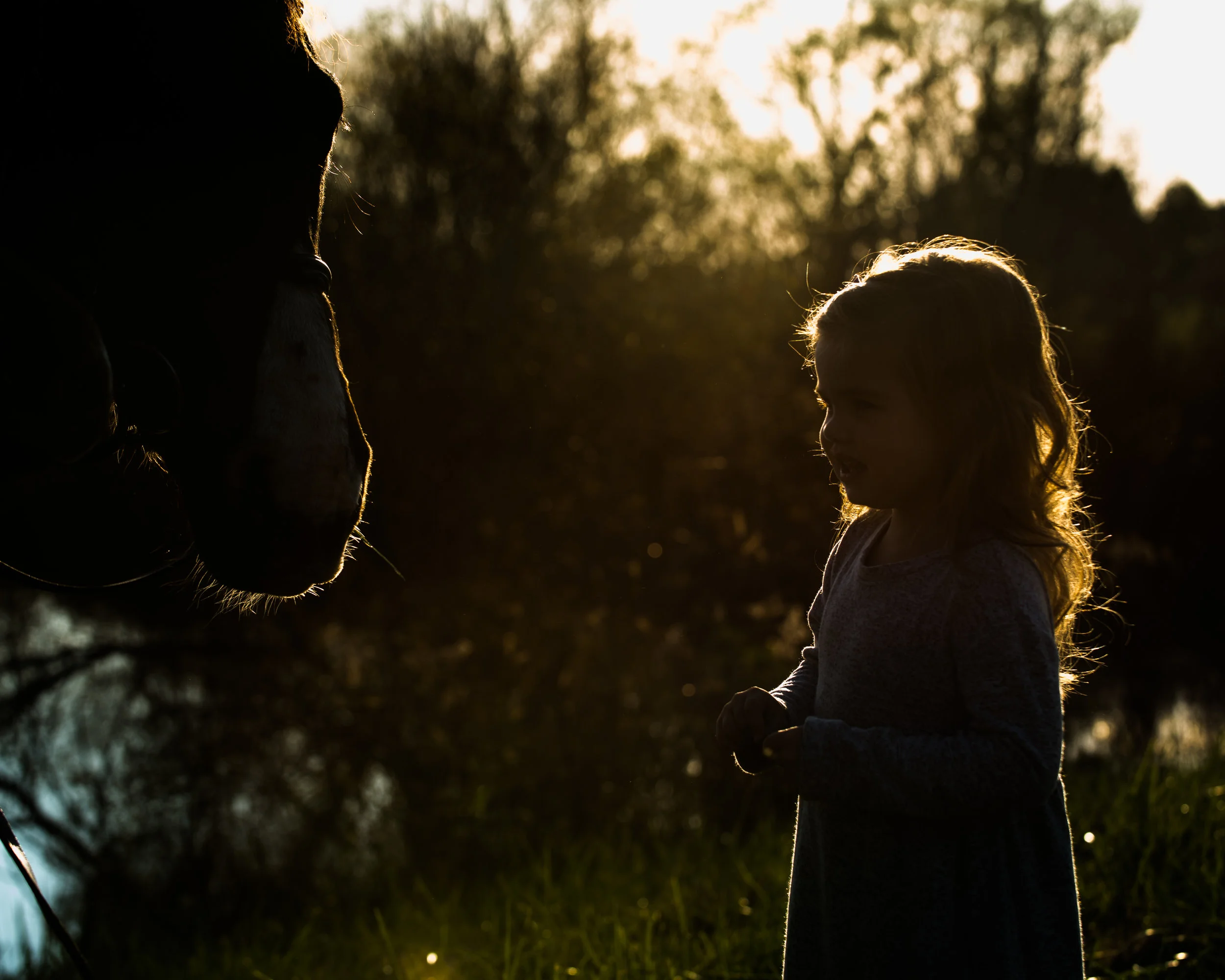 untitled (11 of 153).jpg