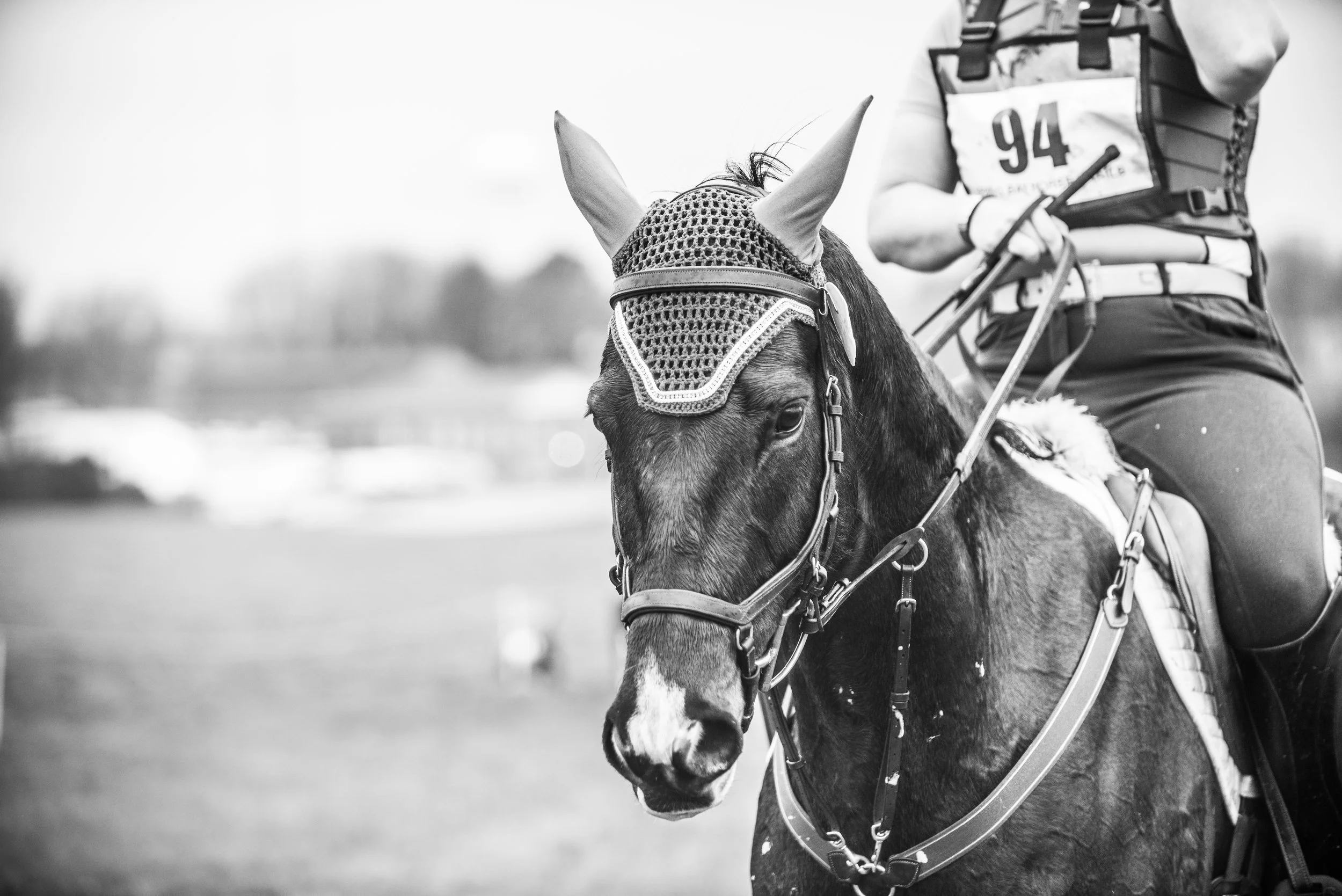 untitled (132 of 136).jpg
