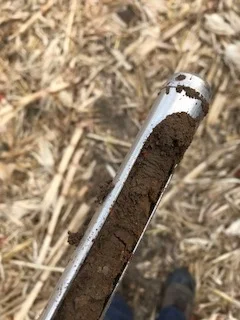 Core Sample.jpg
