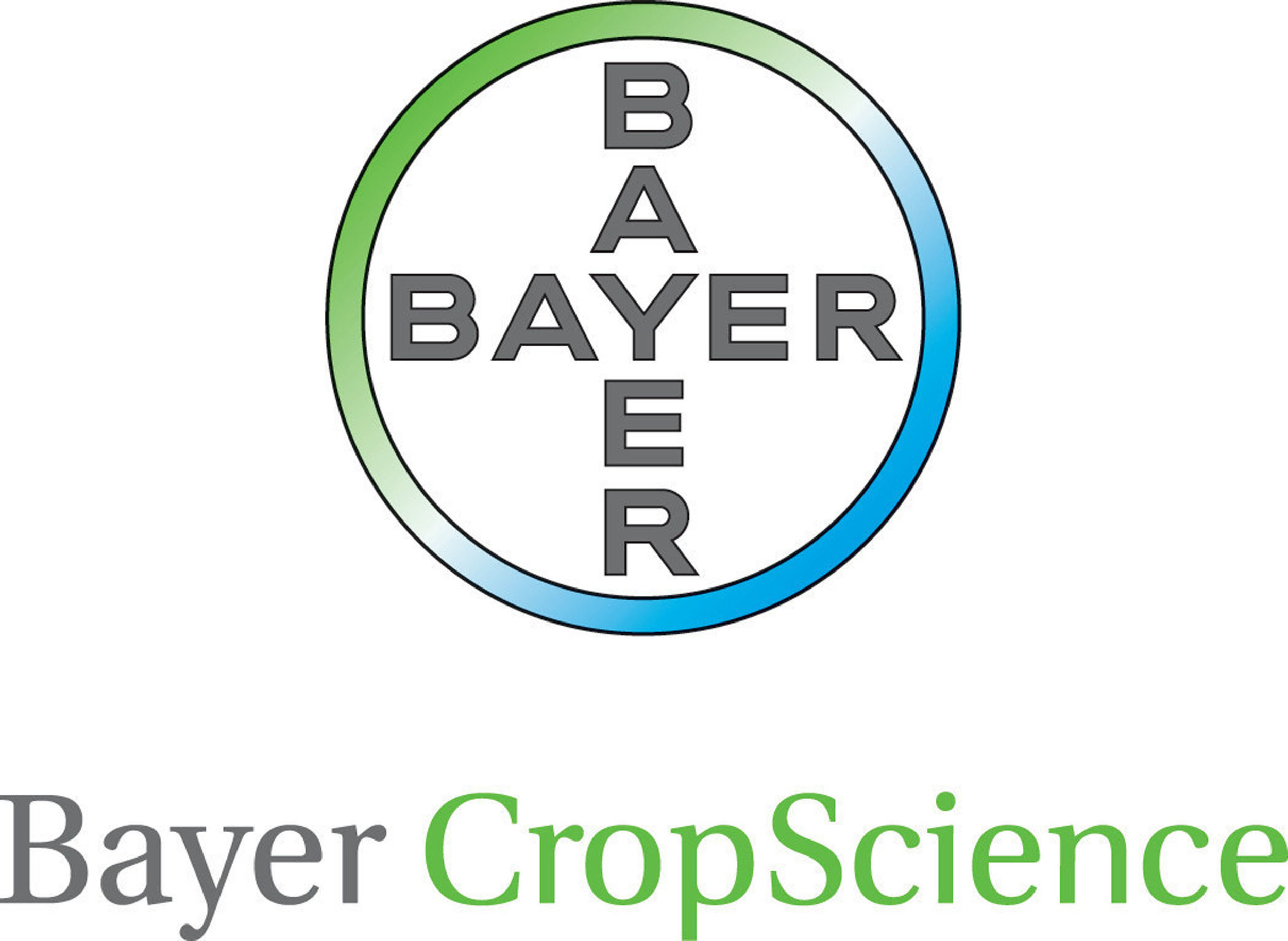 Bayer Logo.jpeg