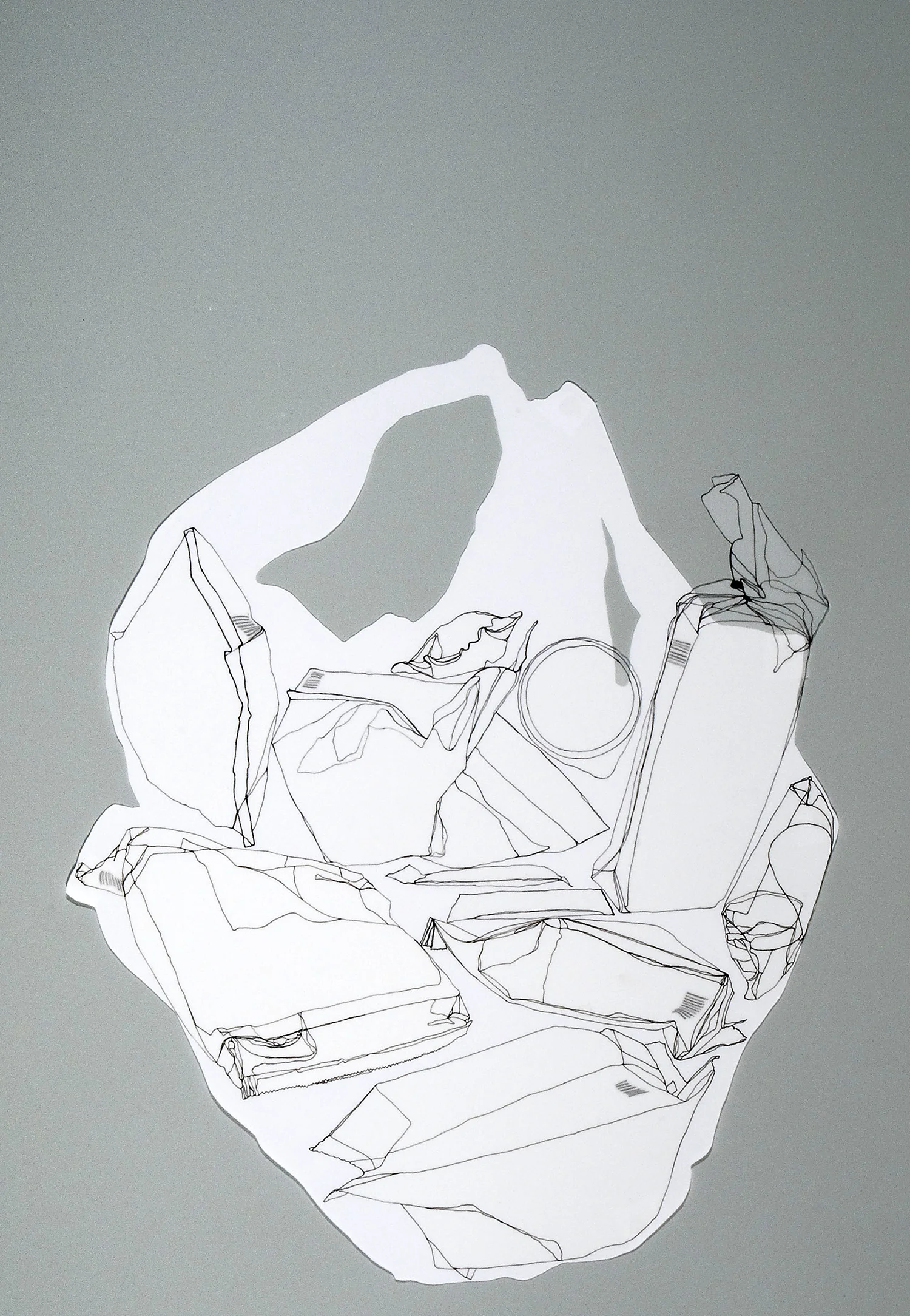 Paper or Plastic?
